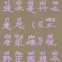 《王者荣耀》视野范围提示是什么意思(《王者荣耀》视野范围提示是什么意思呀)