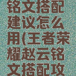 《王者荣耀》赵云铭文搭配建议怎么用(王者荣耀赵云铭文搭配攻略血量cd与物...)