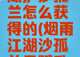 《烟雨江湖》沙孤兰怎么获得的(烟雨江湖沙孤兰天赋升级攻略)