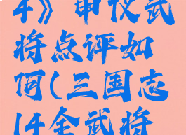 《三国志14》申仪武将点评如何(三国志14全武将生卒年)