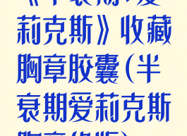 《半衰期:爱莉克斯》收藏胸章胶囊(半衰期爱莉克斯胸章绝版)