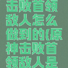 《原神》击败首领敌人怎么做到的(原神击败首领敌人是什么)