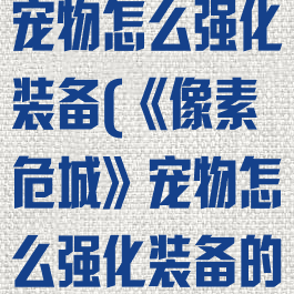 《像素危城》宠物怎么强化装备(《像素危城》宠物怎么强化装备的)