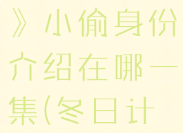 《冬日计划》小偷身份介绍在哪一集(冬日计划原名)