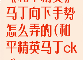 《和平精英》马丁向下手势怎么弄的(和平精英马丁ckd)