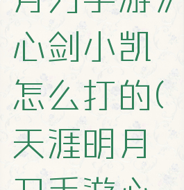 《天涯明月刀手游》心剑小凯怎么打的(天涯明月刀手游心剑)