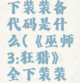 《巫师3:狂猎》全下装装备代码是什么(《巫师3:狂猎》全下装装备代码是什么意思)