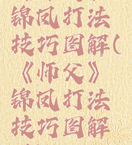 《师父》锦凤打法技巧图解(《师父》锦凤打法技巧图解说)