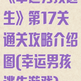 《幸运男孩逃生》第17关通关攻略介绍图(幸运男孩逃生游戏)