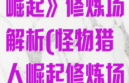 《怪物猎人:崛起》修炼场解析(怪物猎人崛起修炼场在哪)