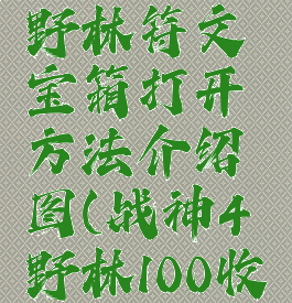 《战神4》野林符文宝箱打开方法介绍图(战神4野林100收集)