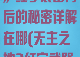 《无主之地3》红字装备背后的秘密详解在哪(无主之地3红字武器是什么意思)