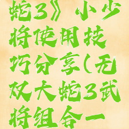 《无双大蛇3》小少将使用技巧分享(无双大蛇3武将组合一览)