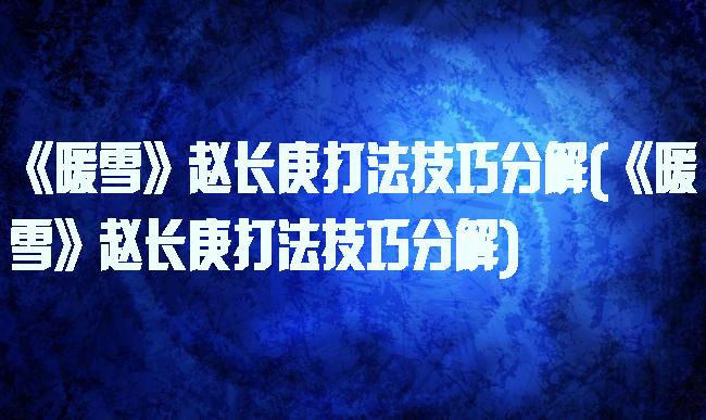 《暖雪》赵长庚打法技巧分解(《暖雪》赵长庚打法技巧分解)
