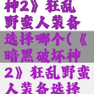 《暗黑破坏神2》狂乱野蛮人装备选择哪个(《暗黑破坏神2》狂乱野蛮人装备选择哪个好)