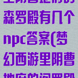 《梦幻西游》里阴曹地府的森罗殿有几个npc答案(梦幻西游里阴曹地府的阎罗殿有几个npc)