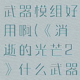 《消逝的光芒2》什么武器模组好用啊(《消逝的光芒2》什么武器模组好用啊)