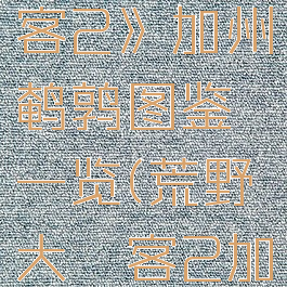 《荒野大镖客2》加州鹌鹑图鉴一览(荒野大镖客2加州雕鸮)