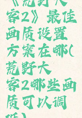 《荒野大镖客2》最佳画质设置方案在哪(荒野大镖客2哪些画质可以调低)