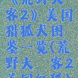 《荒野大镖客2》美国猎狐犬图鉴一览(荒野大镖客2美国红狐)