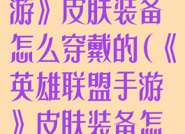 《英雄联盟手游》皮肤装备怎么穿戴的(《英雄联盟手游》皮肤装备怎么穿戴的啊)