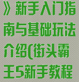《街头霸王5》新手入门指南与基础玩法介绍(街头霸王5新手教程)