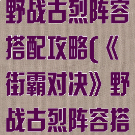 《街霸对决》野战古烈阵容搭配攻略(《街霸对决》野战古烈阵容搭配攻略大全)