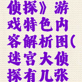 《迷宫大侦探》游戏特色内容解析图(迷宫大侦探有几张图)
