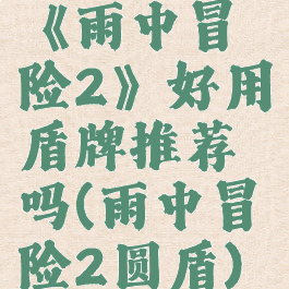 《雨中冒险2》好用盾牌推荐吗(雨中冒险2圆盾)