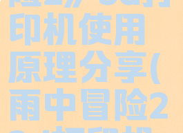 《雨中冒险2》3d打印机使用原理分享(雨中冒险23d打印机使用方法)