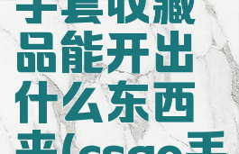 《csgo》手套收藏品能开出什么东西来(csgo手套价值)