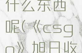 《csgo》旭日收藏品能开出什么东西呢(《csgo》旭日收藏品能开出什么东西呢视频)