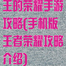 王的荣耀手游攻略(手机版王者荣耀攻略介绍)