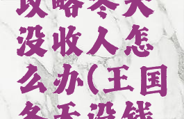 王国游戏攻略冬天没收人怎么办(王国冬天没钱了怎么办)