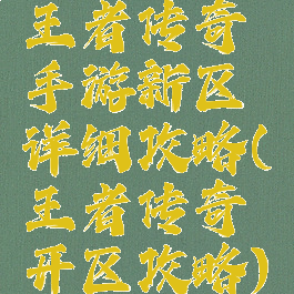 王者传奇手游新区详细攻略(王者传奇开区攻略)