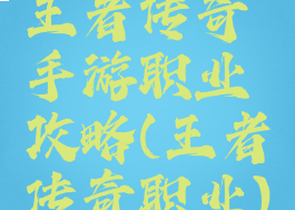 王者传奇手游职业攻略(王者传奇职业)