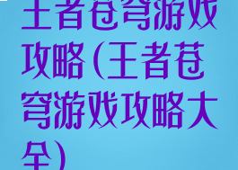 王者苍穹游戏攻略(王者苍穹游戏攻略大全)
