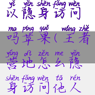 王者营地可以隐身访问吗苹果(王者营地怎么隐身访问他人苹果)