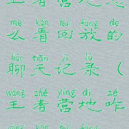 王者营地怎么看回放的聊天记录(王者营地咋样看回放)