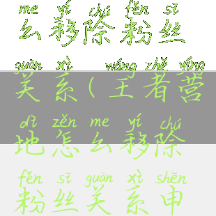 王者营地怎么移除粉丝关系(王者营地怎么移除粉丝关系申请)