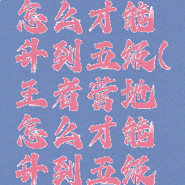 王者营地怎么才能升到五级(王者营地怎么才能升到五级呢)