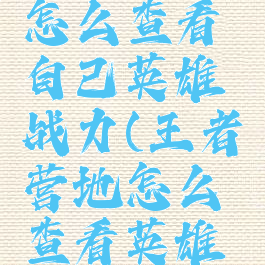 王者营地怎么查看自己英雄战力(王者营地怎么查看英雄战力排名)