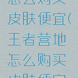 王者营地怎么购买皮肤便宜(王者营地怎么购买皮肤便宜的)