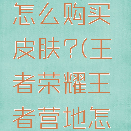 王者营地怎么购买皮肤?(王者荣耀王者营地怎么买皮肤)