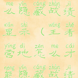 王者营地怎么隐藏战绩显示(王者营地怎么才能隐藏战绩)