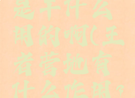 王者营地是干什么用的啊(王者营地有什么作用?)