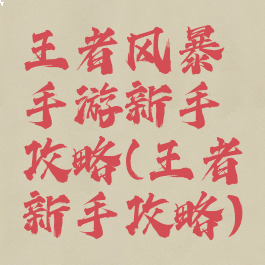 王者风暴手游新手攻略(王者新手攻略)