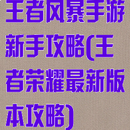 王者风暴手游新手攻略(王者荣耀最新版本攻略)