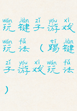 玩键子游戏玩法(踢键子游戏玩法)