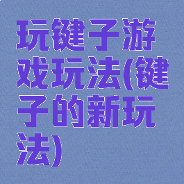 玩键子游戏玩法(键子的新玩法)